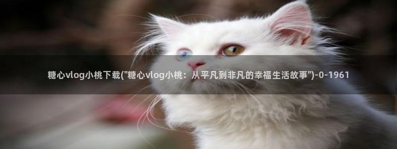 糖心vlog网络错误:糖心vlog小桃下