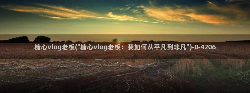 糖心vlog破解:糖心vlog老板(\